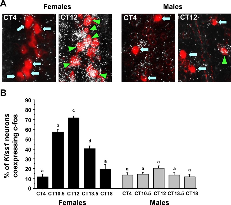 Figure 3.