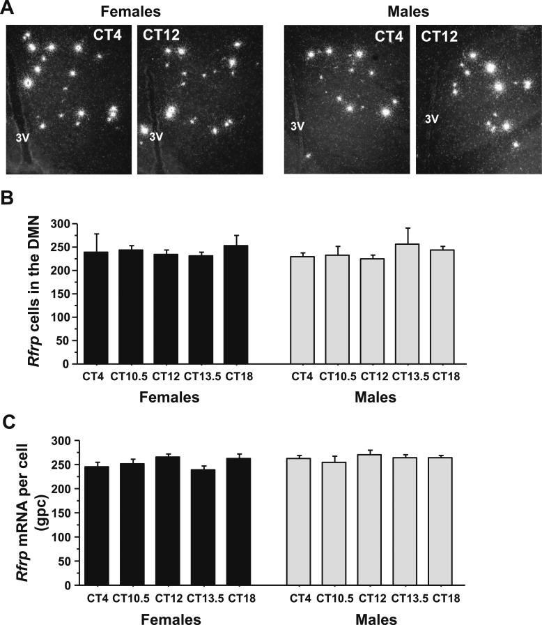 Figure 7.