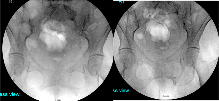 Fig. 9