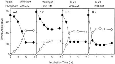 FIG. 5