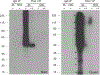Fig. 5 |