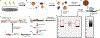 Fig. 2 |