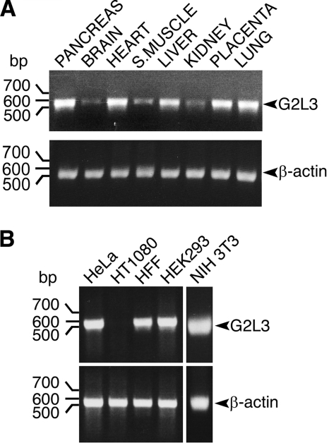 FIGURE 2.