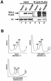 Figure 10.