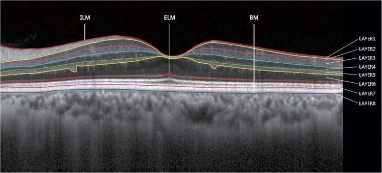 Fig. 2