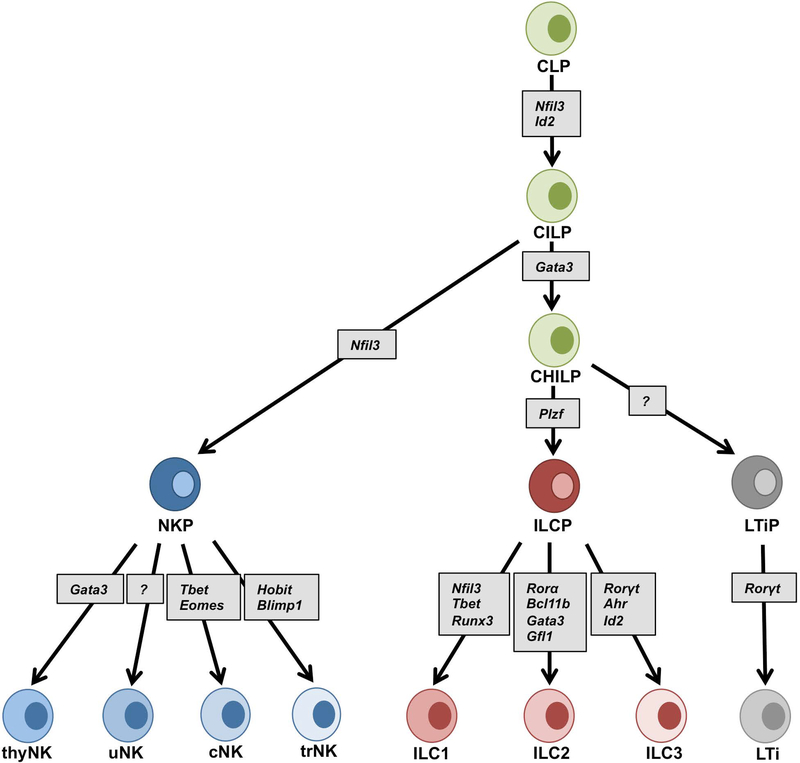 Figure 2: