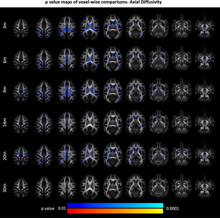 Figure 2—figure supplement 3.