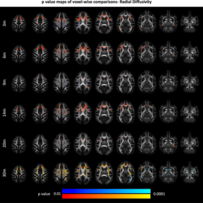 Figure 2—figure supplement 1.