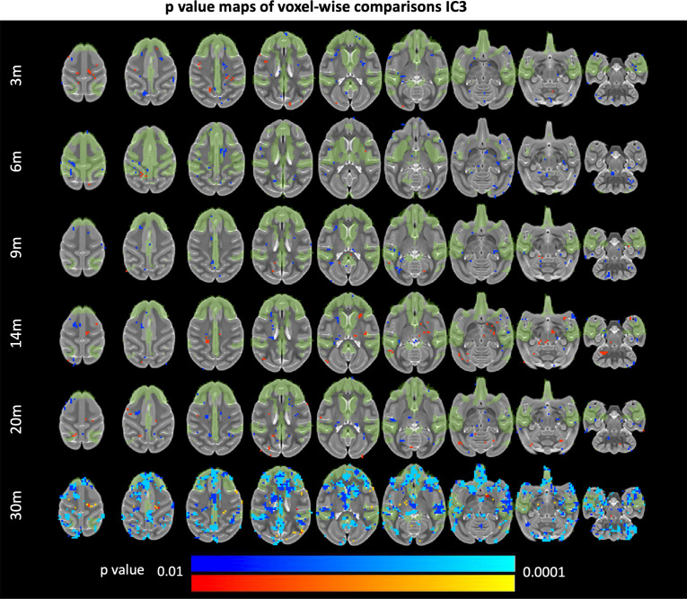 Figure 4—figure supplement 4.