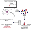 Fig. 12