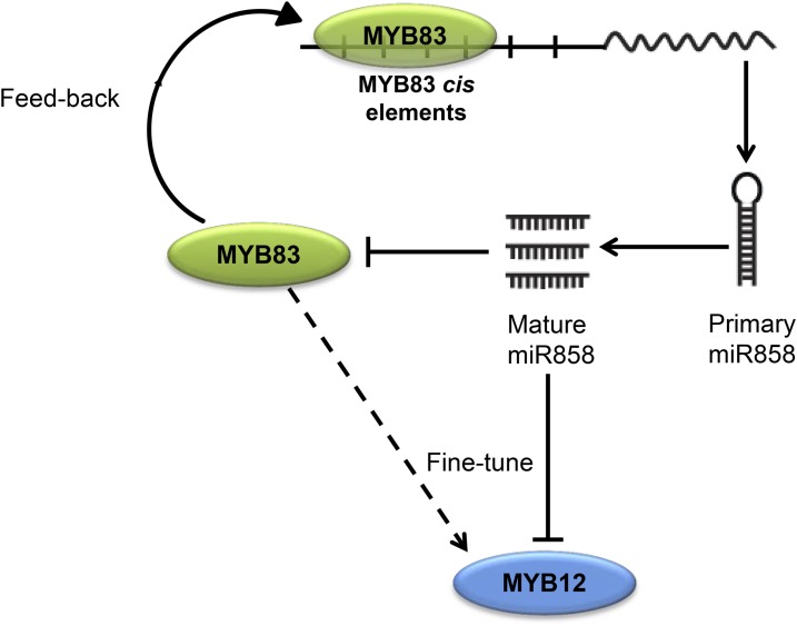 Figure 9.