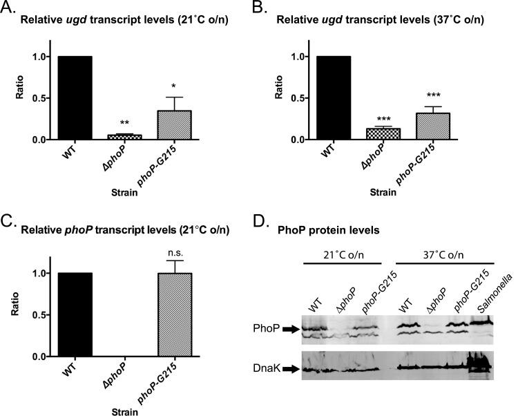 FIG 3