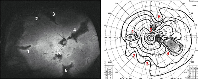 Fig. 2.