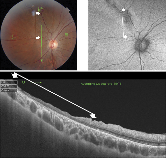 Fig. 3.