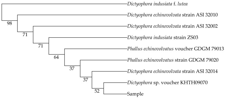 Figure 2