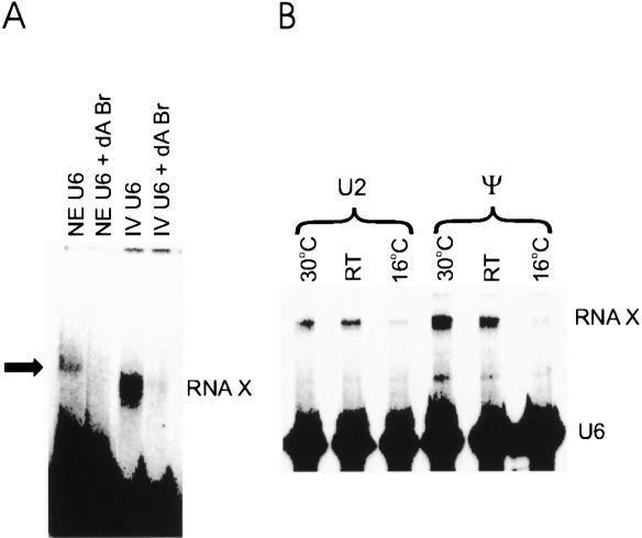 FIGURE 7.