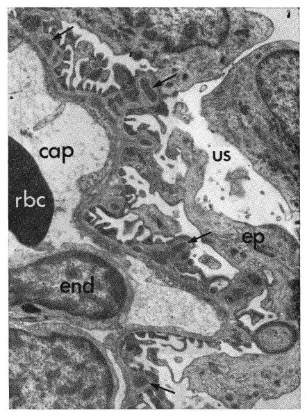 Fig. 19