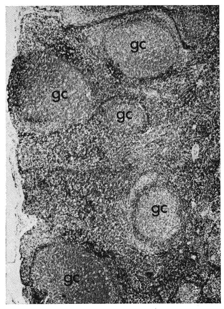 Fig. 16