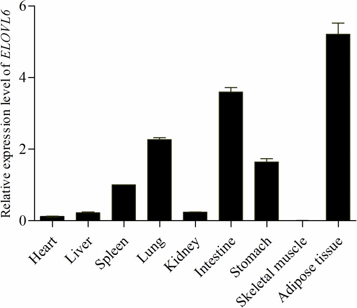 Fig 1