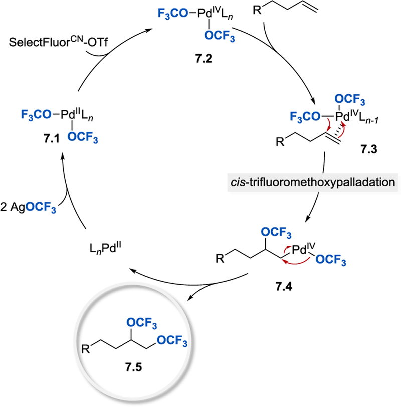 Scheme 7.