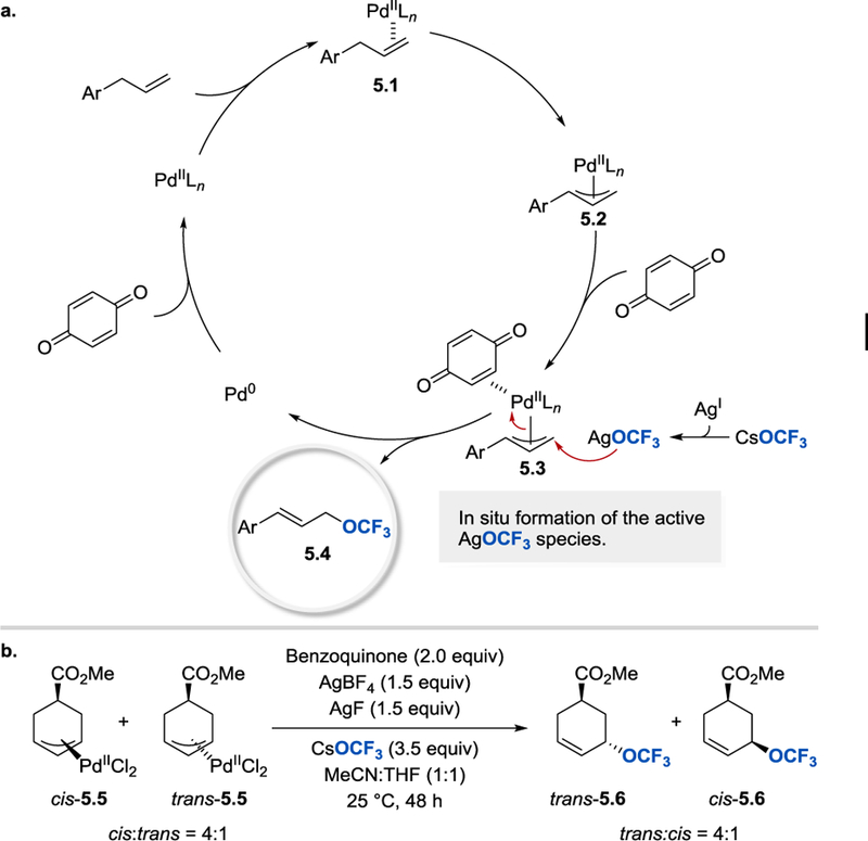 Scheme 5.