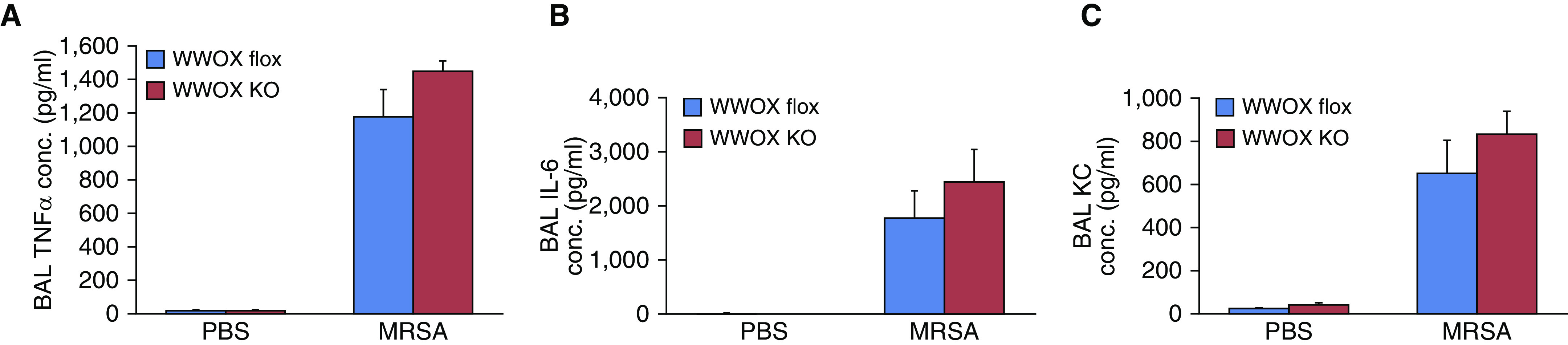 Figure 6.