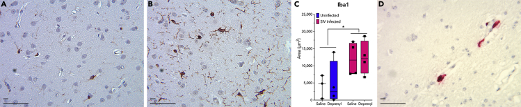 Figure 2