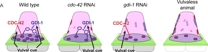 Fig 8