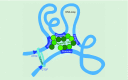 <b>Figure 2.</b>
