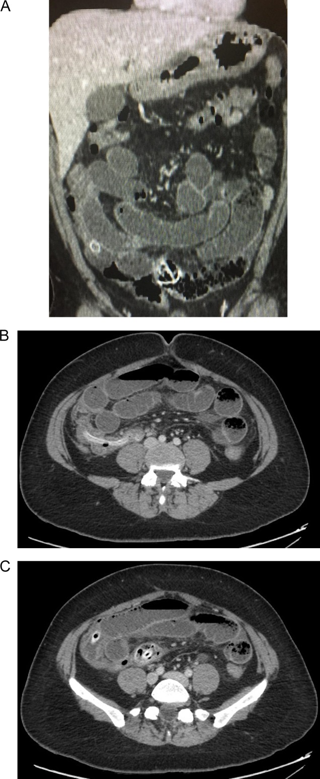 Figure 1: