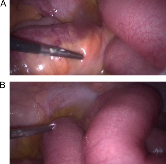 Figure 2: