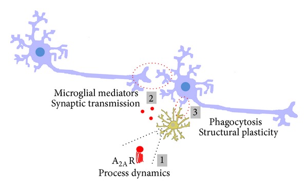 Figure 2