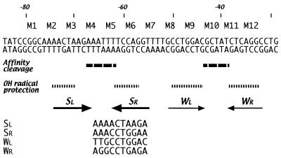 FIG. 8.