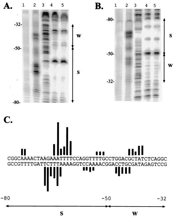 FIG. 7.