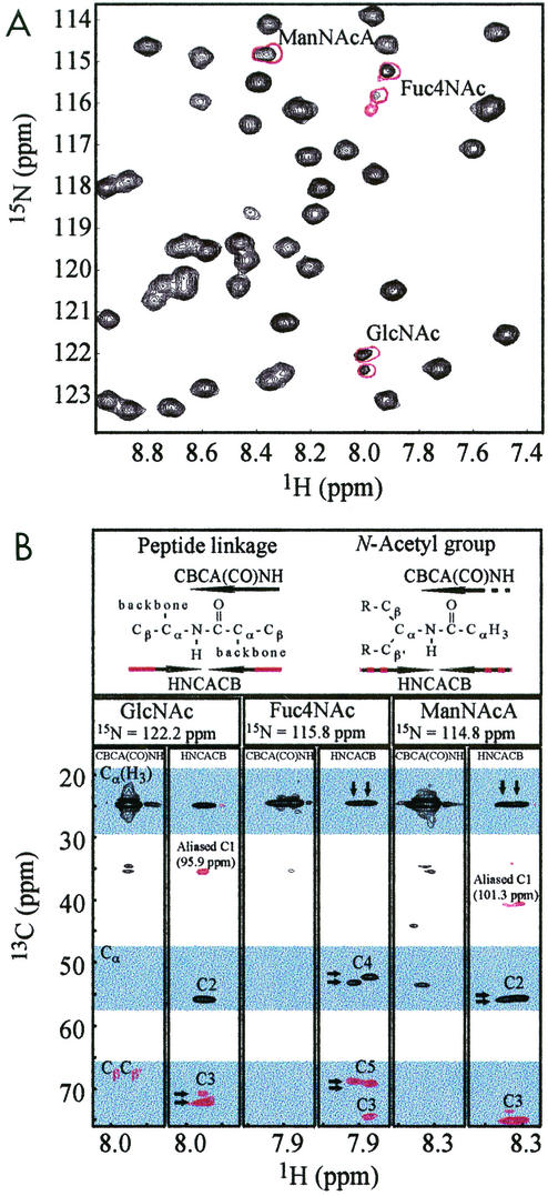 FIG. 2.