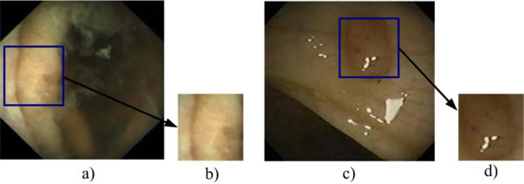 Fig. 7