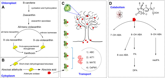 FIGURE 1