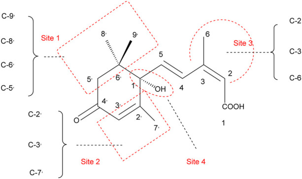 FIGURE 4