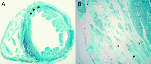 Figure 1  