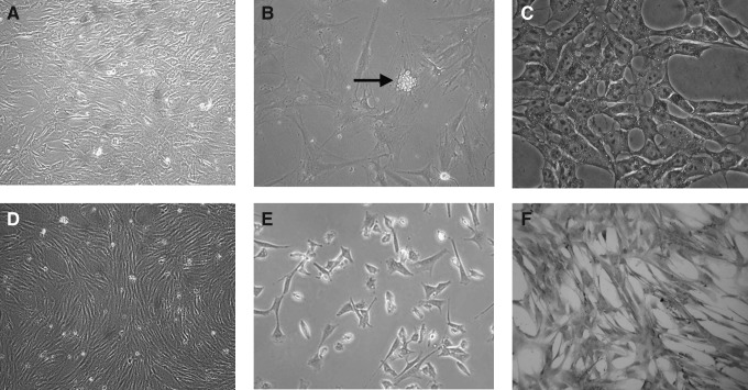 FIG. 3.