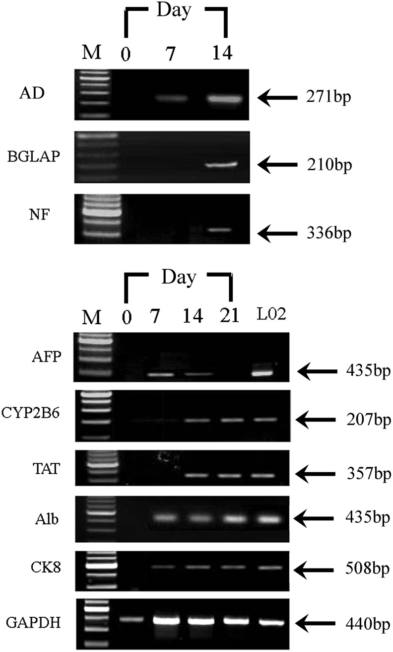 FIG. 5.