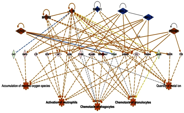 Figure 7