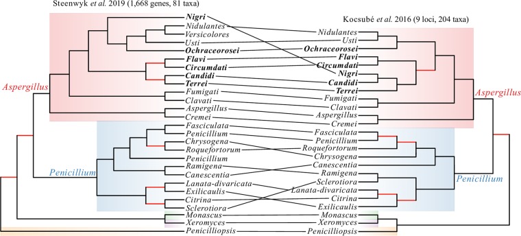 FIG 5