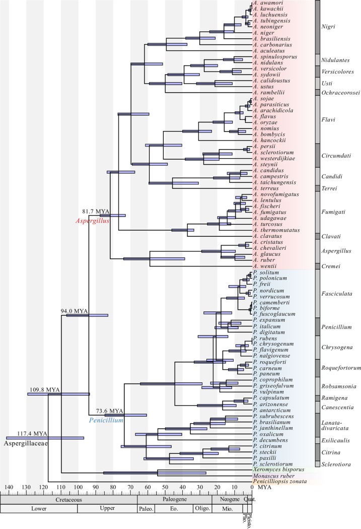 FIG 6