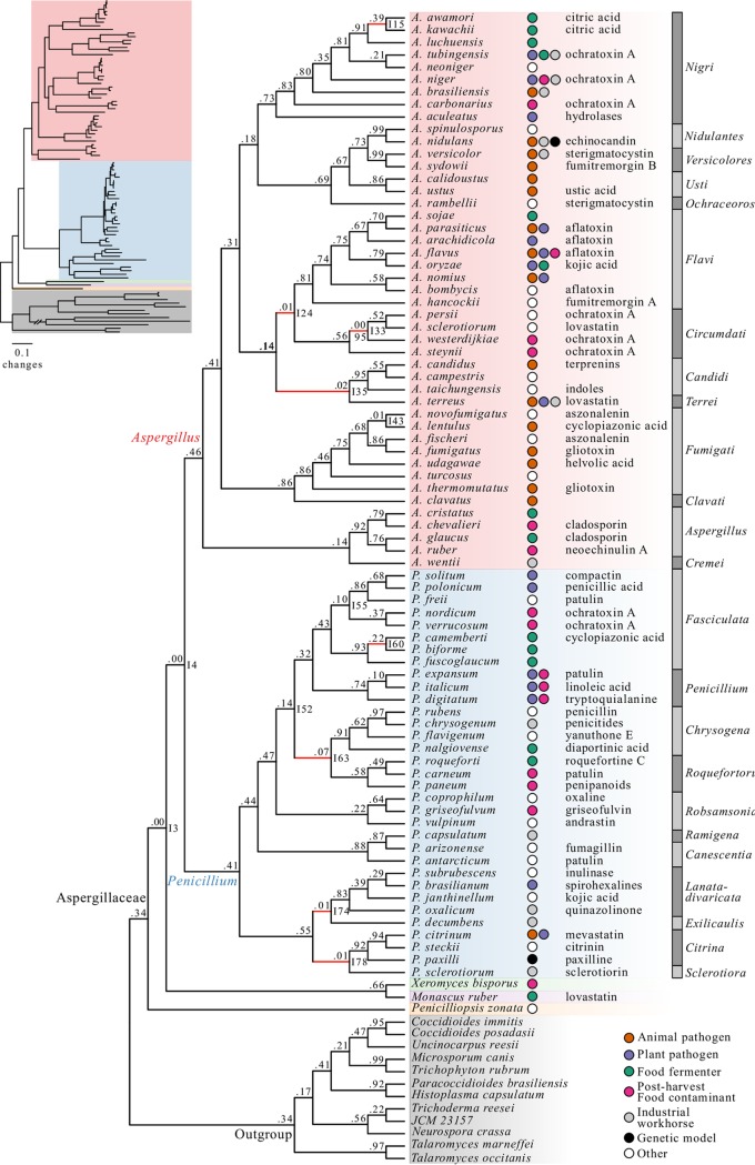 FIG 1