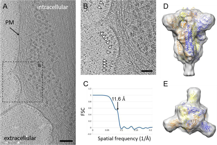 Figure 2.