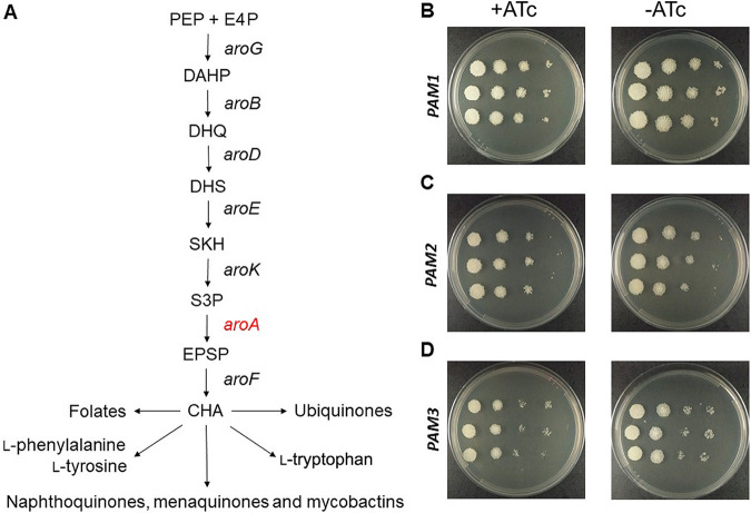 FIG 4