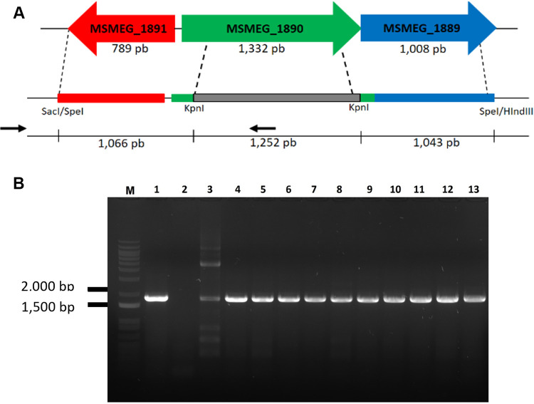 FIG 1