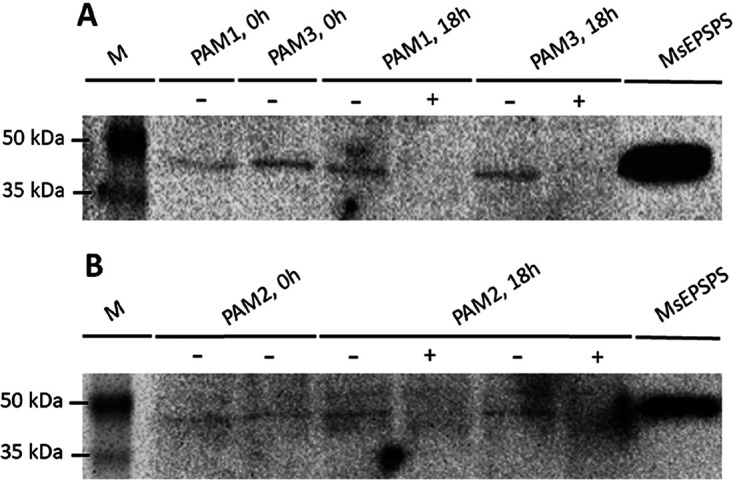 FIG 3