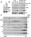 Figure 10.